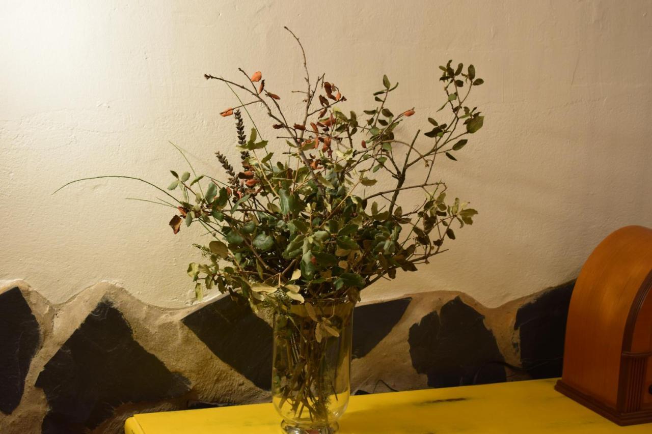 Séjour à la campagne La Salamandrija- Con Piscina, Patio Y Barbacoa
