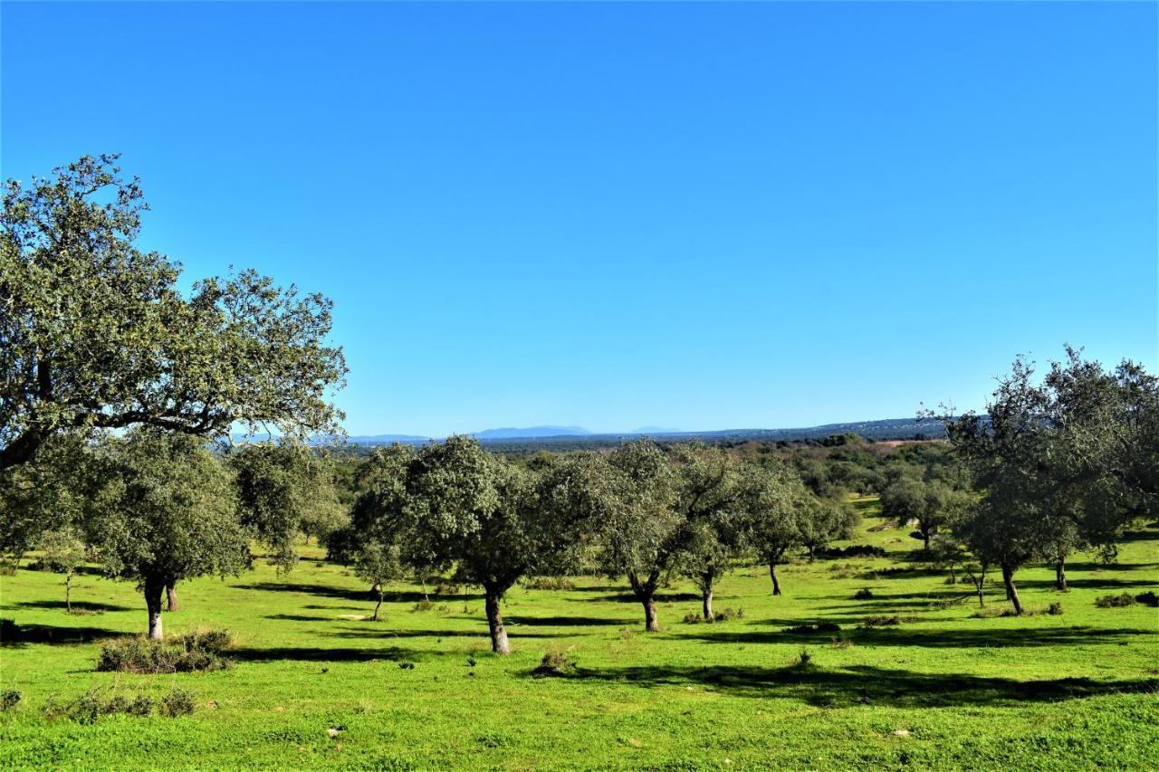 Séjour à la campagne La Salamandrija- Con Piscina, Patio Y Barbacoa